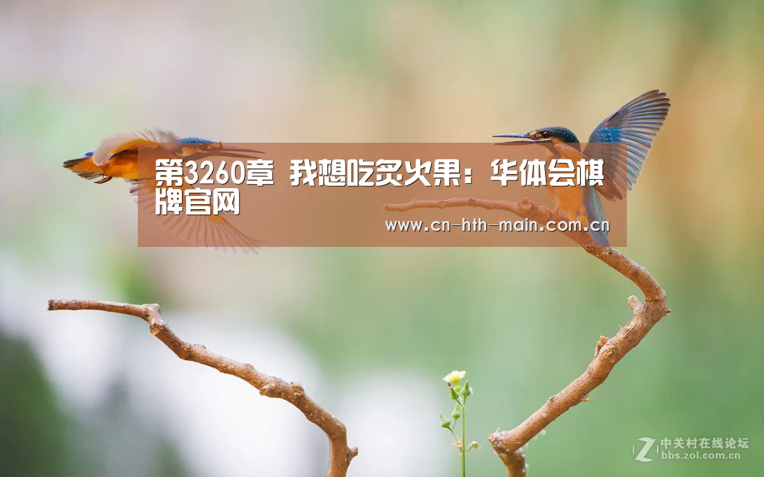 华体会棋牌官网