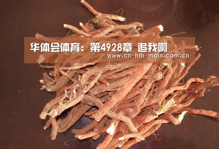 华体会棋牌官网