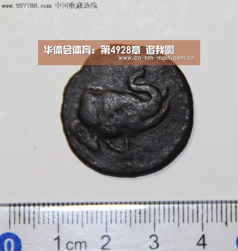 华体会棋牌官网